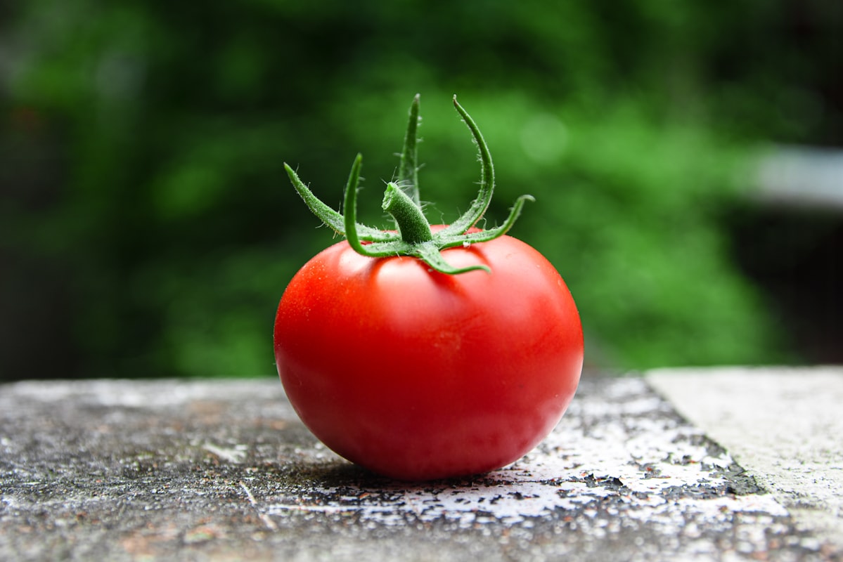 Articolo in evidenza sulla consapevolezza alimentare
